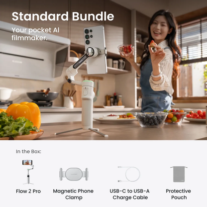Insta360 Flow 2 Pro Standalone grey