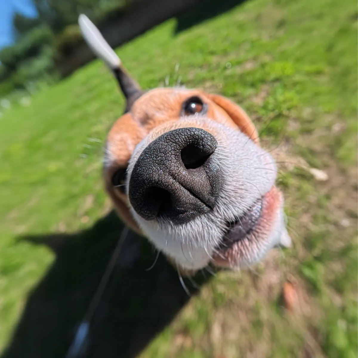 Insta360 GO 3S Micro Lens